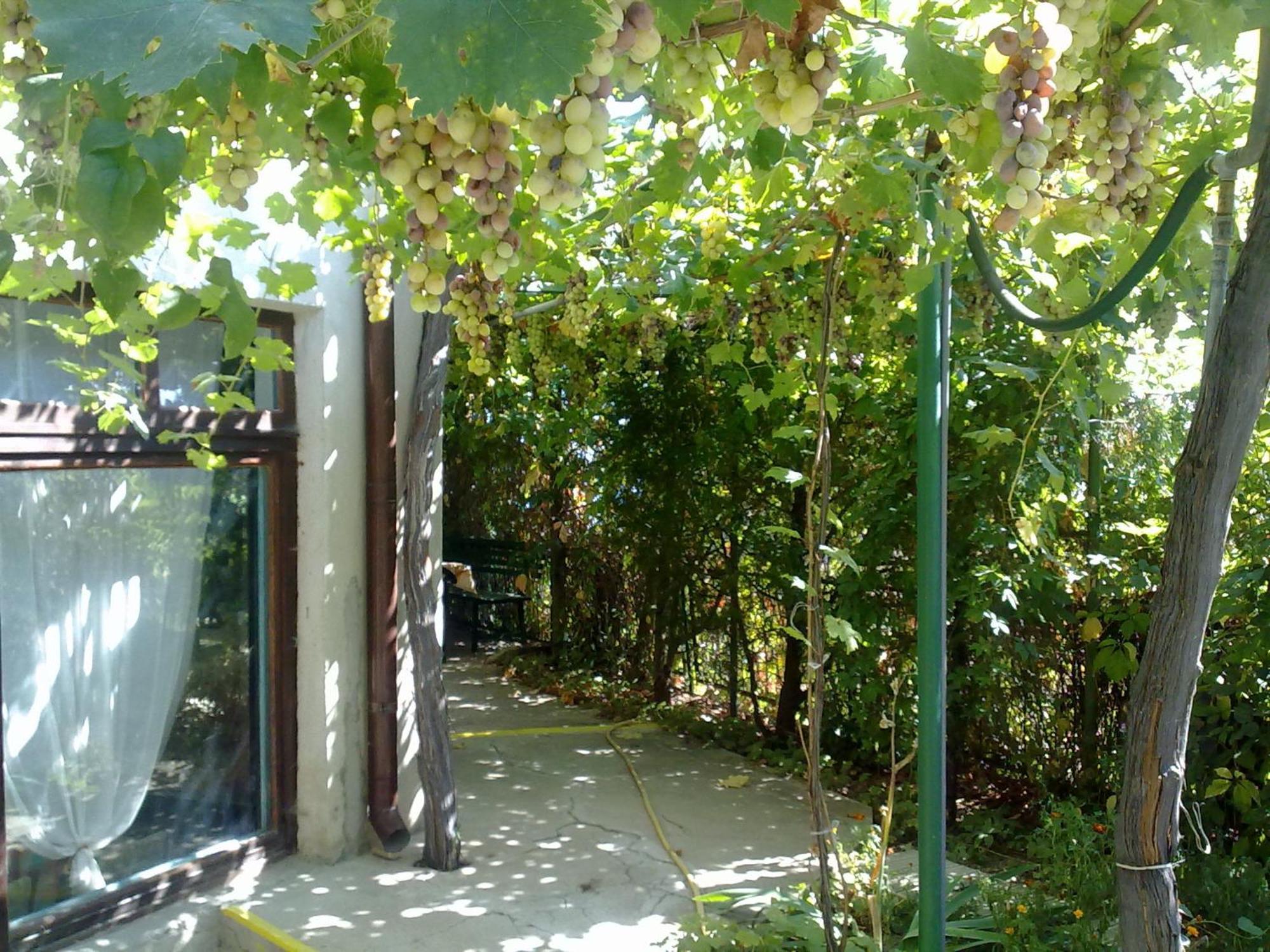 Villa Elfi Zlatni pjasătsi Eksteriør bilde